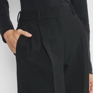 Aritzia Babaton Pleated Pant